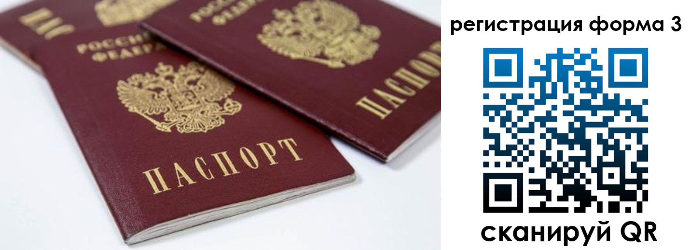 прописка иностранных граждан в Мурманской области